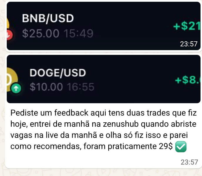 Resultado de membro ZenusHub